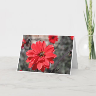 Sitzungskarte mit einer Biene auf einer roten Blum Karte