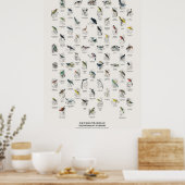 Sitzvögel - Naturalist's Library Poster (Küche)