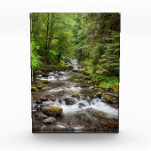 Siuslaw National Forest | Süßcreme Fotoblock (Vorderseite)