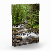 Siuslaw National Forest | Süßcreme Fotoblock (Links)