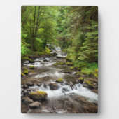 Siuslaw National Forest | Süßcreme Fotoplatte (Vorderseite)