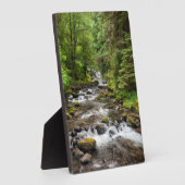 Siuslaw National Forest | Süßcreme Fotoplatte (Seite)