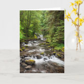 Siuslaw National Forest | Süßcreme Karte (Gelbe Blume)
