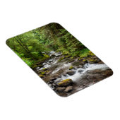 Siuslaw National Forest | Süßcreme Magnet (Rechte Seite)