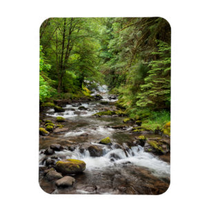 Siuslaw National Forest Süßcreme Magnet