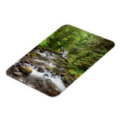 Siuslaw National Forest | Süßcreme Magnet (Linke Seite)