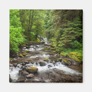 Siuslaw National Forest Süßcreme Magnet