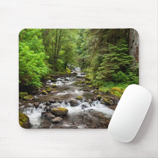 Siuslaw National Forest | Süßcreme Mousepad (Mit Mouse)