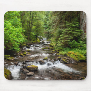 Siuslaw National Forest   Süßcreme Mousepad