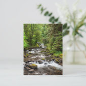 Siuslaw National Forest | Süßcreme Postkarte (Stehend Vorderseite)