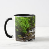 Siuslaw National Forest | Süßcreme Tasse (Links)