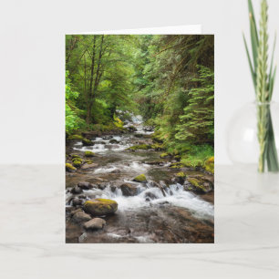 Siuslaw National Forest Sweet Creek Karte