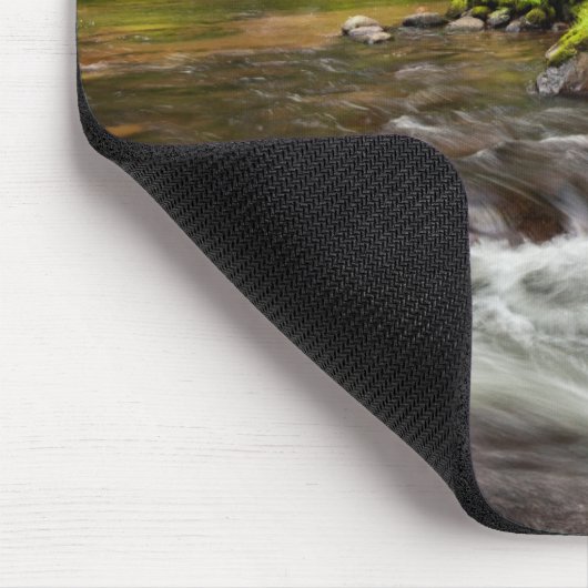 Siuslaw National Forest, Sweet Creek, Oregon Mousepad (Ecke)