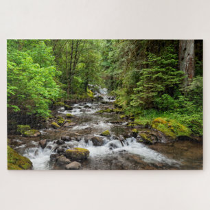 Siuslaw National Forest   Sweet Creek Puzzle