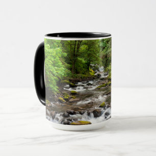 Siuslaw National Forest   Sweet Creek Tasse
