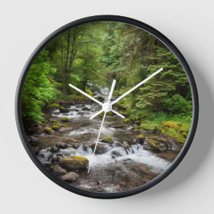 Siuslaw National Forest Sweet Creek Uhr