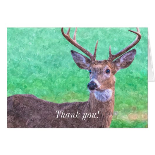 Siven Point Buck Painterly Dankeschön Karte (Vorderseite (Horizontal))