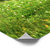 Siverstar Hdr Poster (Ecke)