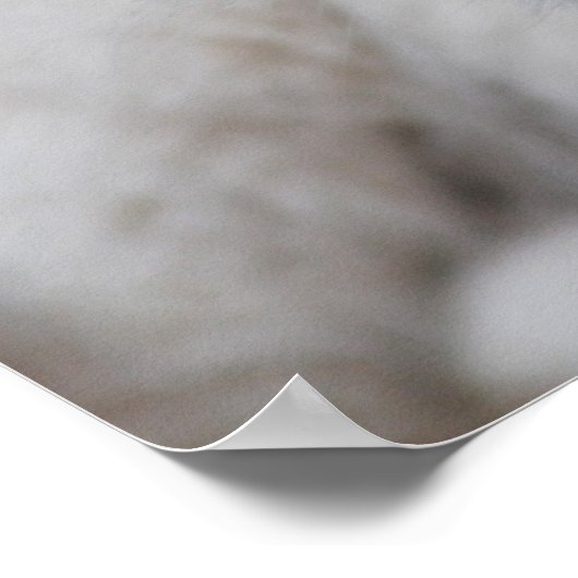 Six week old white baby lion cub poster (Ecke)