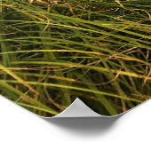 Sixes River, Oregon Poster (Ecke)