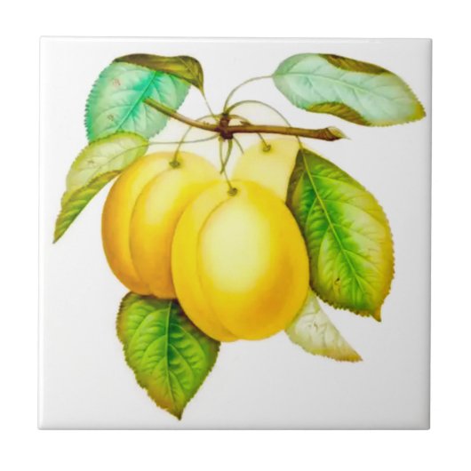 sizilianischer Stil, Summer Art Frucht Yellow Plum Fliese (Vorderseite)