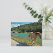 Sizilianisches Pferd mit individualisierbarer Post Postkarte (Stehend Vorderseite)