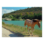 Sizilien Fotodruck (Vorne)