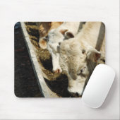 Sizilien, Italien Mousepad (Mit Mouse)