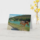 Sizilien Karte (Gelbe Blume)