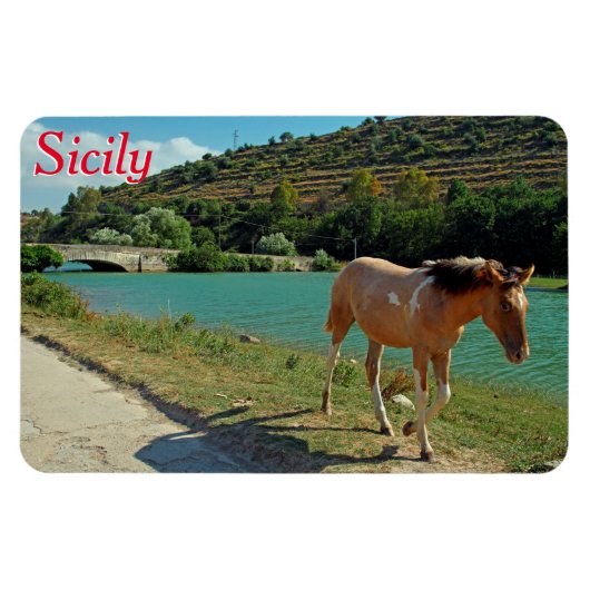 Sizilien Magnet (Horizontal)