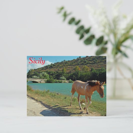 Sizilien Postkarte (Stehend Vorderseite)