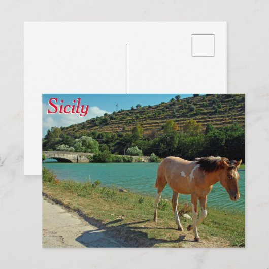 Sizilien Postkarte (Vorne/Hinten)
