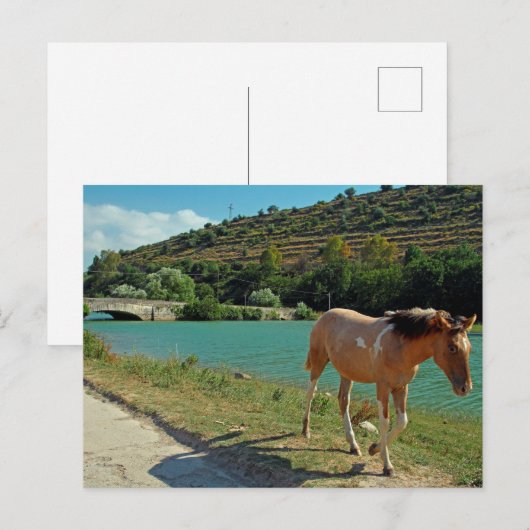 Sizilien Postkarte (Vorne/Hinten)