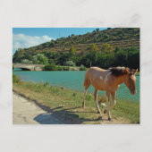 Sizilien Postkarte (Vorderseite)