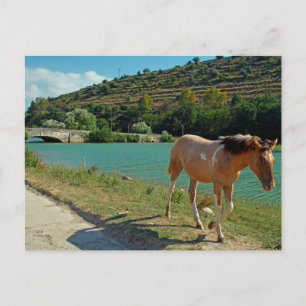 Sizilien Postkarte