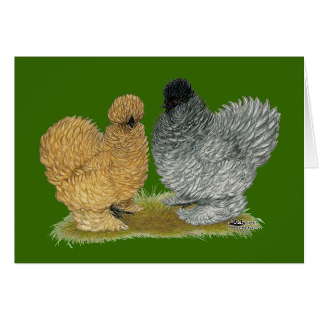 Sizzle-Hühner (Vorderseite (Horizontal))