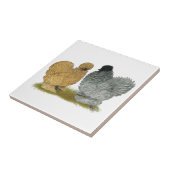 Sizzle-Hühner Fliese (Seite)