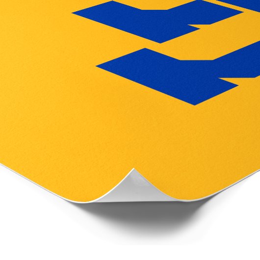 SJ Spartans Poster (Ecke)