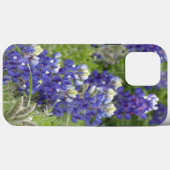 SJefferson Texas Bluebonnets Serie #2 Case-Mate iPhone Hülle (Rückseite (Horizontal))