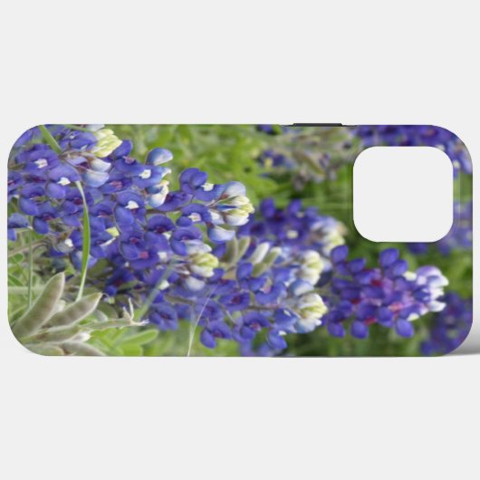 SJefferson Texas Bluebonnets Serie #2 Case-Mate iPhone Hülle (Rückseite (Horizontal))