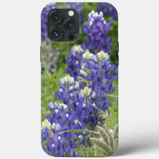 SJefferson Texas Bluebonnets Serie #2 Case-Mate iPhone Hülle