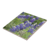 SJefferson Texas Bluebonnets Serie #2 Fliese (Seite)