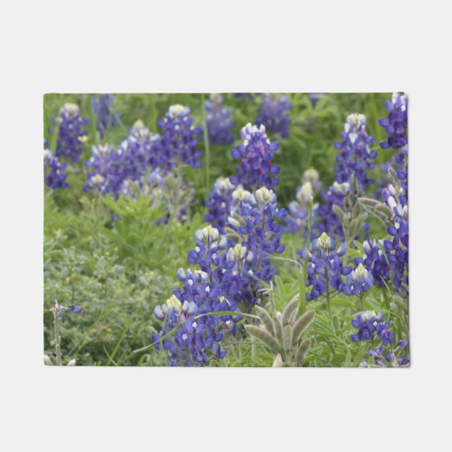 SJefferson Texas Bluebonnets Serie #2 Fußmatte (Vorderseite)
