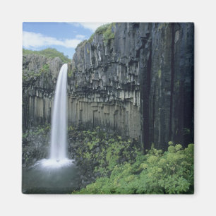 Skaftafell-Nationalpark, Svartifoss-Wasserfall, Magnet