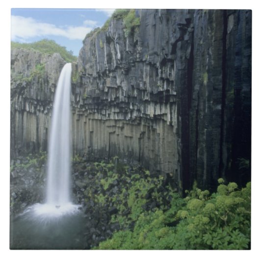 Skaftafell Nationalpark, Wasserfall Svartifoss, Fliese (Vorderseite)