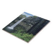 Skaftafell Nationalpark, Wasserfall Svartifoss, Fliese (Seite)