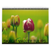 SKAGIT TAL-TULPEN KALENDER (Titelbild)