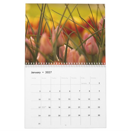 SKAGIT TAL-TULPEN KALENDER (Jan 2027)