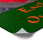 Skagit Tulip Tulip Poster (Ecke)