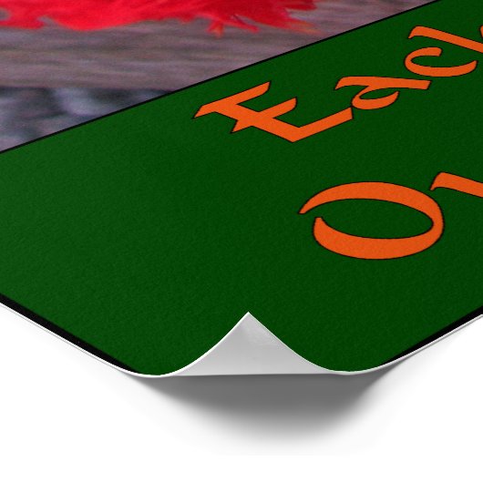 Skagit Tulip Tulip Poster (Ecke)